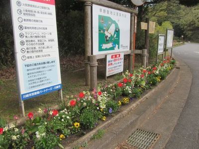 4月15日早野聖地公園1.jpg