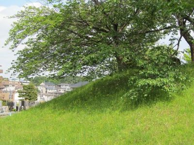 5月13日津田山1.jpg
