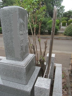 植木剪定2−2.JPG.jpg