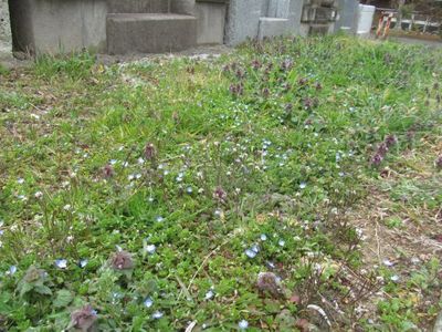 津田山1.jpg
