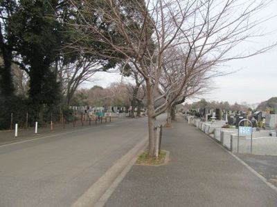 1月25日津田山風景.jpg
