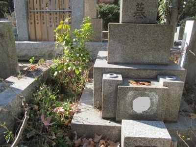 1−1.jpg
